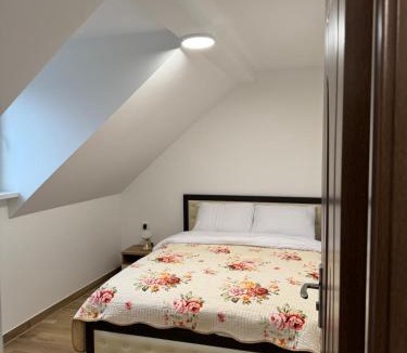 Schiltigheim Apartment | La Tranquillité Citadine