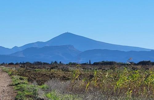 Serignan-du-Comtat Other | La troglodyte