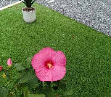 Bressuire House | La Turlure