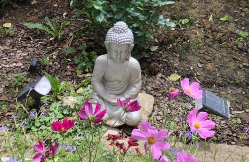 Rennes-les-Bains House | La Vie en Roses