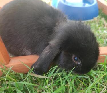 La Chapelle sur Vire House | La vie est belle