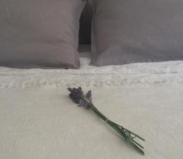 Saint-Jean-de-Rebervilliers Bed & Breakfast | La Vigne