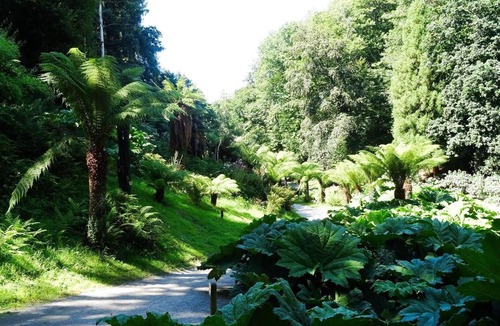 Rive Droite Apartment | "La Vigie" view on Brest Sea