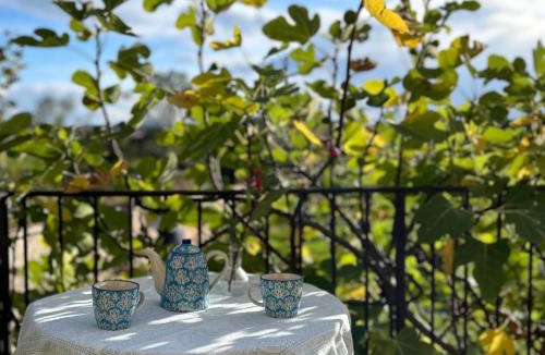 Barrais-Bussolles Bed & Breakfast | La Vigne et le Chardon