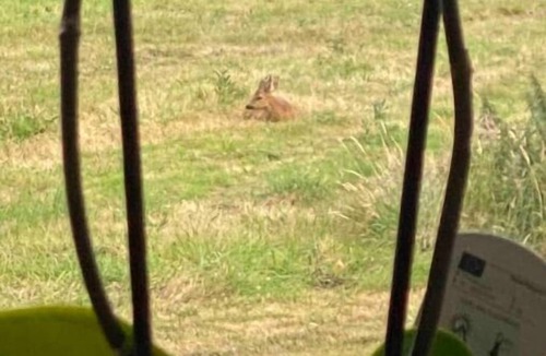 Plouer-sur-Rance House | La Villée