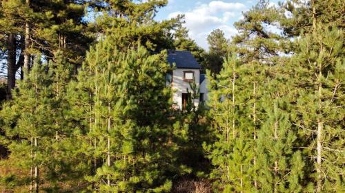 Quend-Plage-les-Pins Apartment | La villa dans les pins