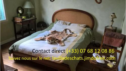 Andresy Bed & Breakfast | la villa des chats