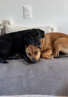 Cuxac-dʼAude House | La villa des lauriers