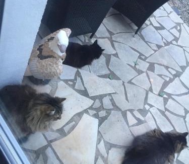 Cuxac-dʼAude House | La villa des lauriers