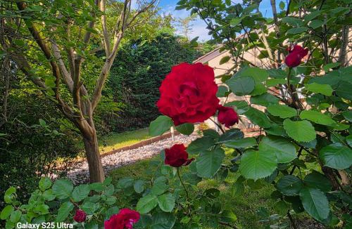 Lalande-Grand Selve Bed & Breakfast | La Villa des Violettes