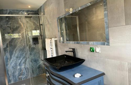 Nernier House | La villa