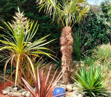 Les Serres - Vivier House | La Villa Joséphine