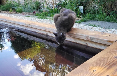 Richebourg Bed & Breakfast | LA VILLA MARIE