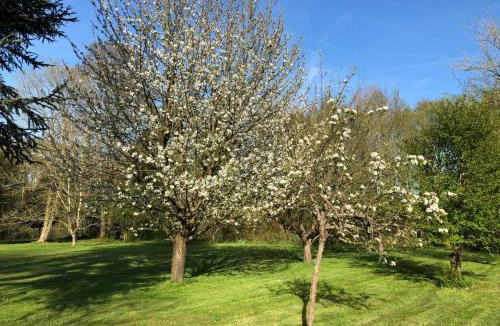 Forges-les-Bains Bed & Breakfast | La villa rochette