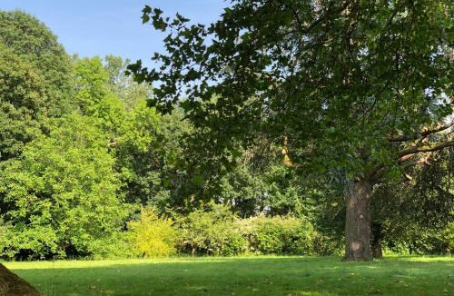 Forges-les-Bains Bed & Breakfast | La villa rochette