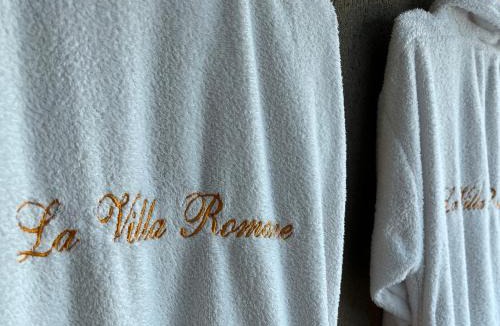 Gard Rhodanien Apartment | La Villa Romane