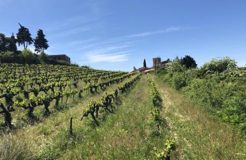 Villedieu House | La Villa Verte