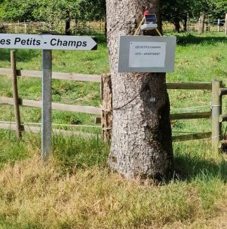 Buais-les-Monts Bed & Breakfast | La Ville - Les Petits Champs