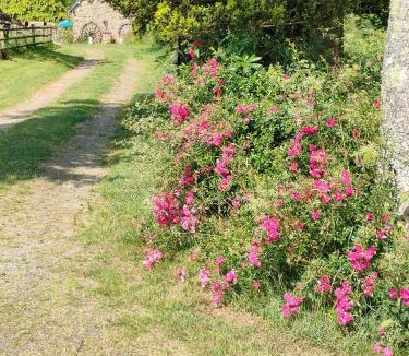 Buais-les-Monts Bed & Breakfast | La Ville - Les Petits Champs