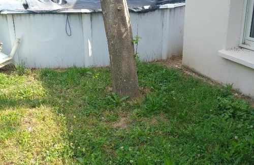 Glun Apartment | La Vinsonne