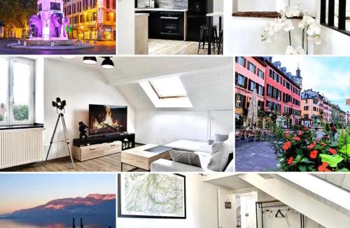 Barberaz Apartment | La Voute Chambérienne GRAND T2 61m2 - Vue Montagnes - TV 4K Géante - WIFI-Fibre - Machine à Laver - Lave Vaiselle - Parking - Confort - Spacieux