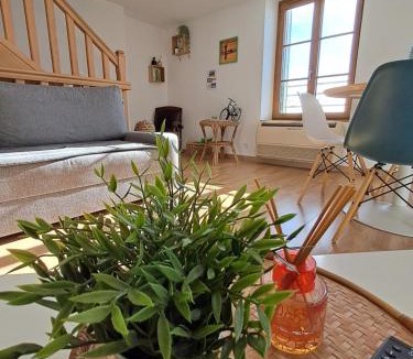 Saint-Denis-de-l'Hotel Apartment | LA VUE LOIRE Appartement