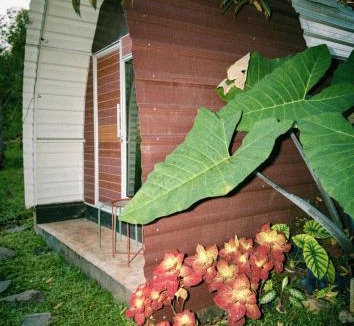 Lombok House | Laa Cabana Lombok Glamping