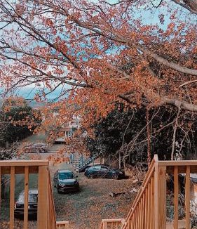 Wilkes-Barre Apartment | Labelle