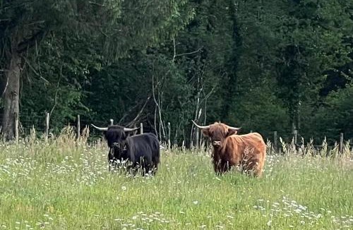 Saint-Julien-le-Petit House | Lac de Vassivière Petite maison à proximité
