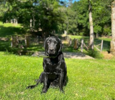 Saint-Julien-le-Petit House | Lac de Vassivière Petite maison à proximité