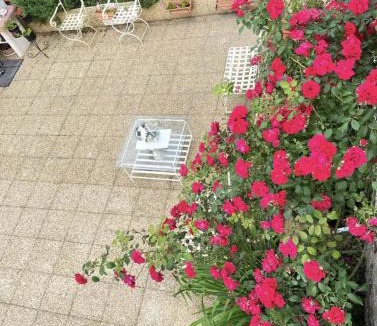 Toulonjac Apartment | Lacaze d Aveyron