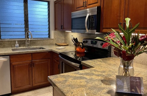 Wailua Condo | Lae Nani Beautiful Oceanfront Condo with newly installed AC 2BR/2BA