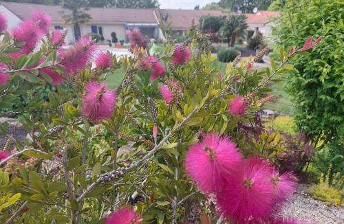 Neuville-de-Poitou Bed & Breakfast | Lagalerne