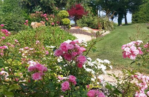 Neuville-de-Poitou Bed & Breakfast | Lagalerne