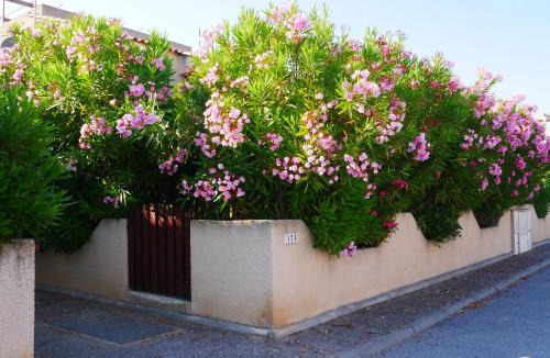 Les Ayguades House | Lagon 173 - Maison de Vacances - 3 Chambres