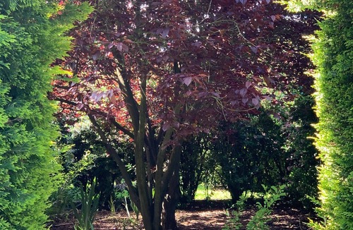 Yambuk Apartment | Lahinch - The Overlander