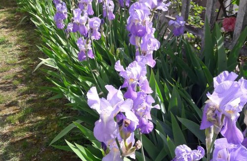 Saumur Bed & Breakfast | Lairdeloire