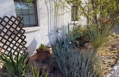 Lajitas House | Lajitas House (Big Bend River View)