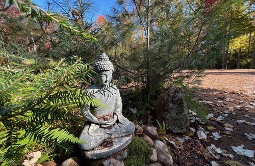 Saranac Lake Cottage | Lake Access: Adirondack Zen Studio