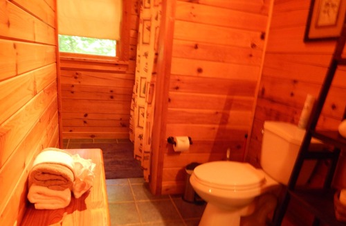 Seymour Cabin | Lake Access "Discounted"