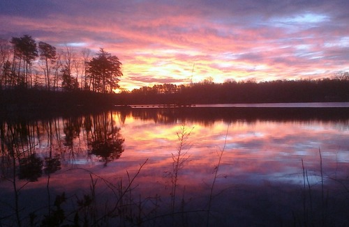Bumpass Cabin | Lake Anna log cabin