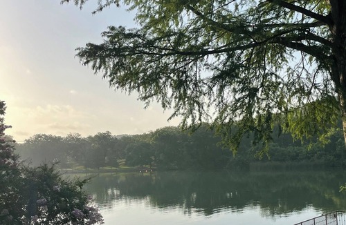Panther Hollow Cottage | Lake Austin waterfront retreat sleeps 6!