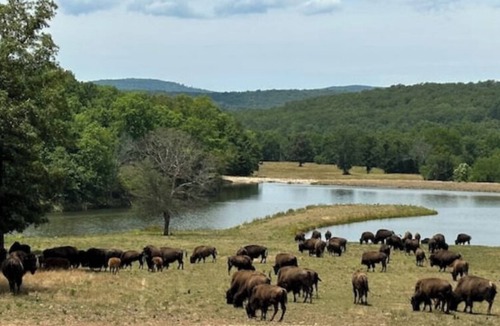 Stilwell House | Lake Cabin in Wildlife Preserve