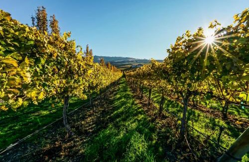 Willow Point House | Lake Escape