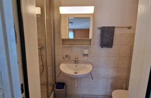 Niederried bei Interlaken Apartment | Lake facing Studio