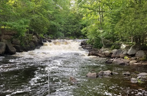 Burlington Cabin | Lake front Cabin cir 1893
