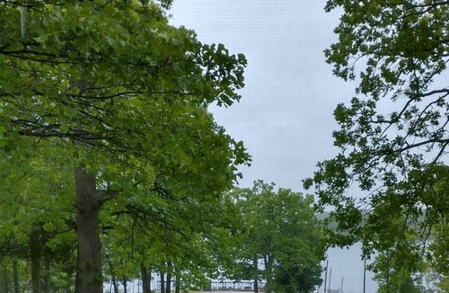 Oakland Resort | Lake front cabin on Bull Shoal Lake