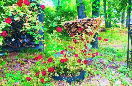 Conyers House | Lake Front Cabin