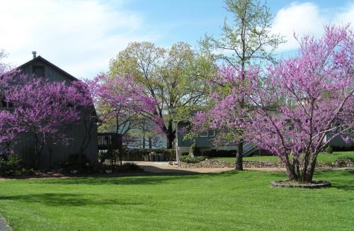 Big Cedars Apartment | Lake Front King Suite: Full Kitchen-Lakefront Deck- Shared Hot Tub