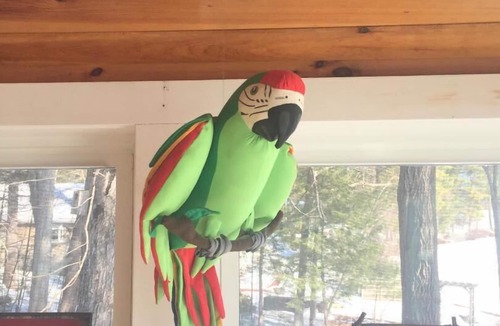 Middleton Cottage | Lake Front Magic on Sunrise Lake.